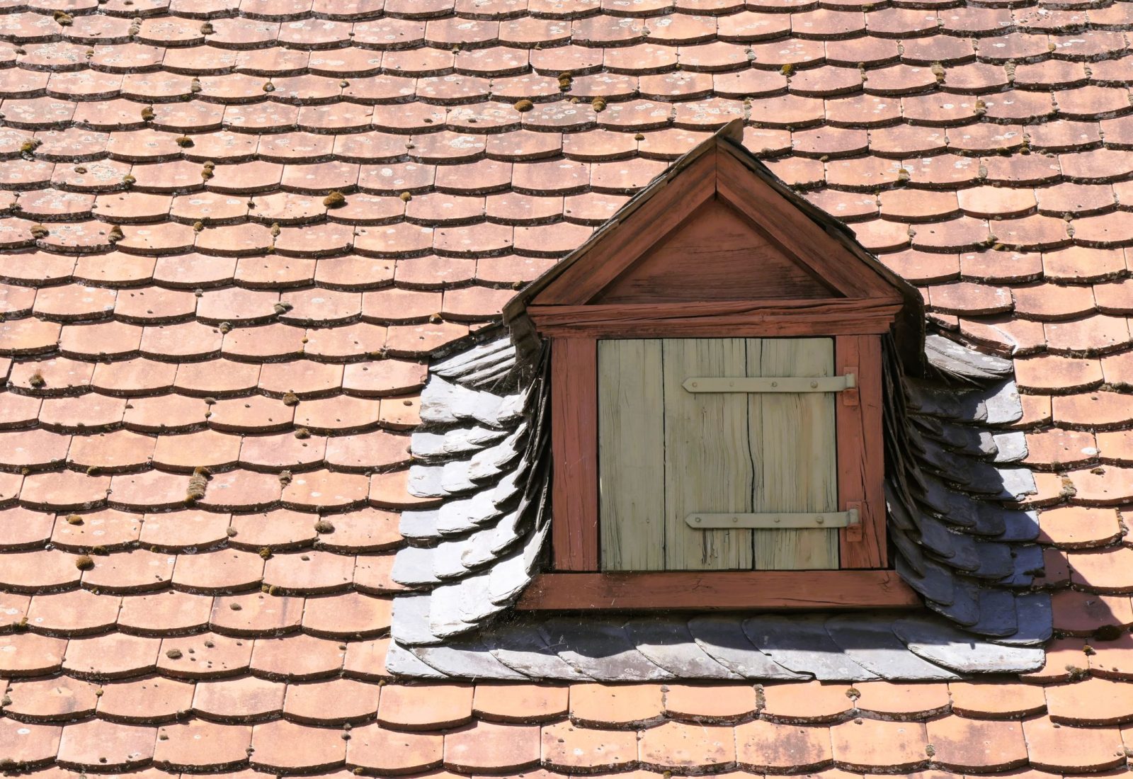 Dachfenster & Gauben